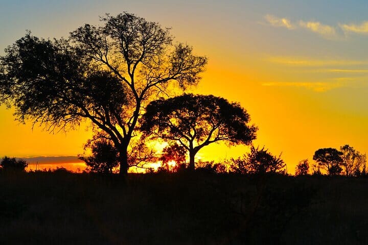 Private Full Day Kruger National Park Safari from Hazyview